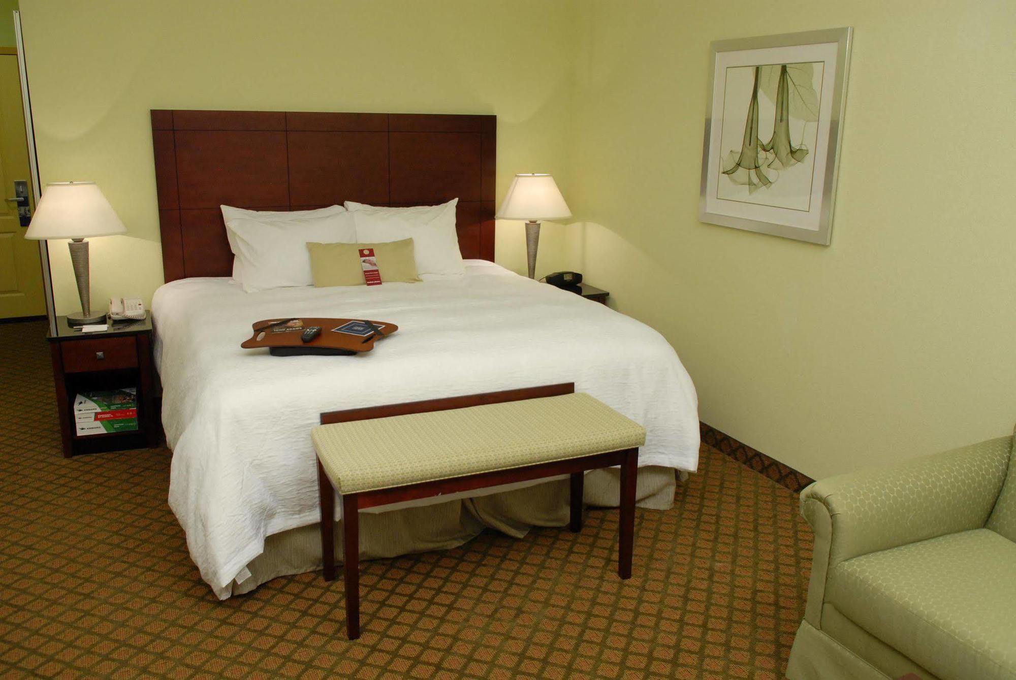 Hampton Inn & Suites Orlando-South Lake Buena Vista Киссимми Номер фото